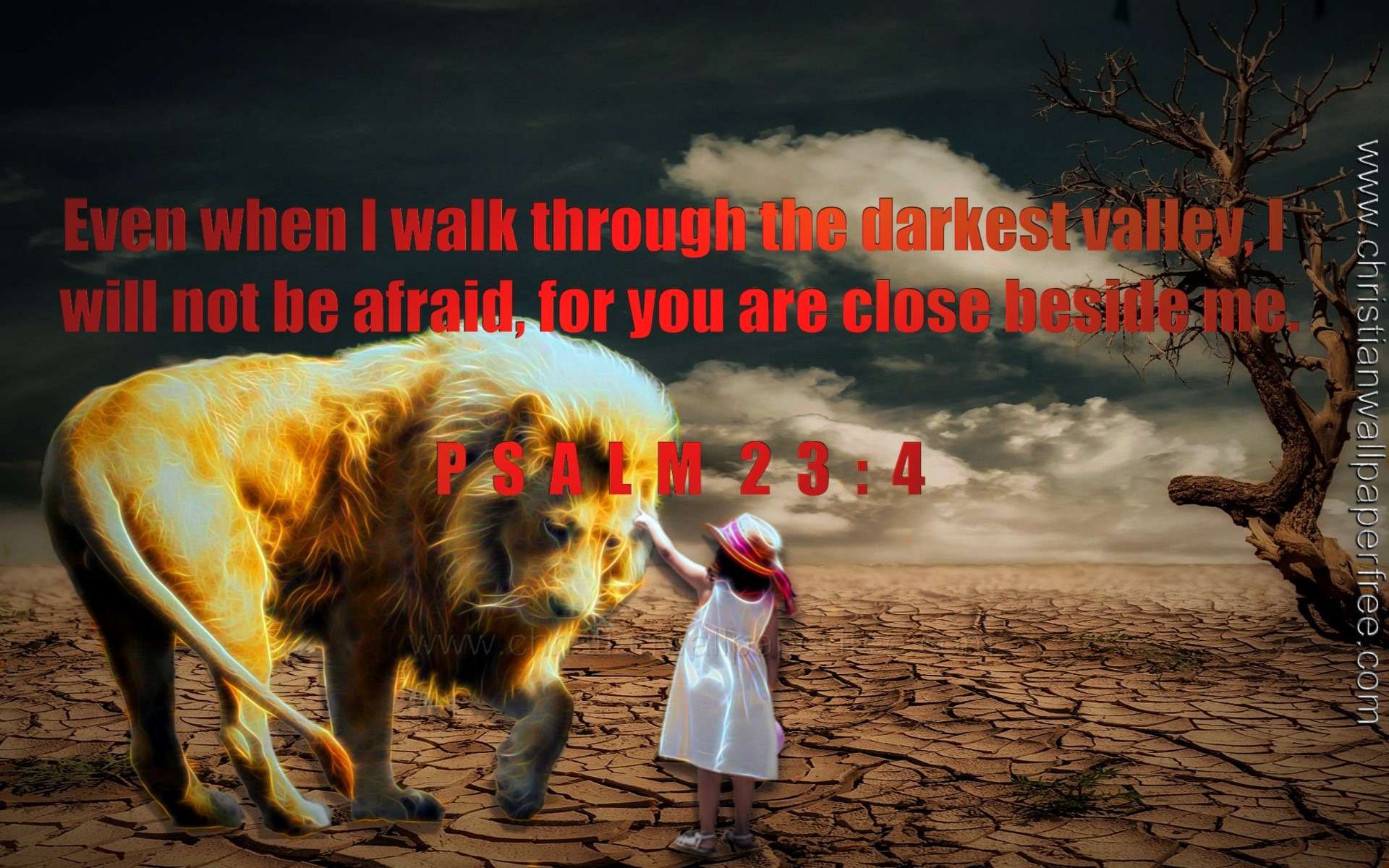 Psalm 23 Verse 4