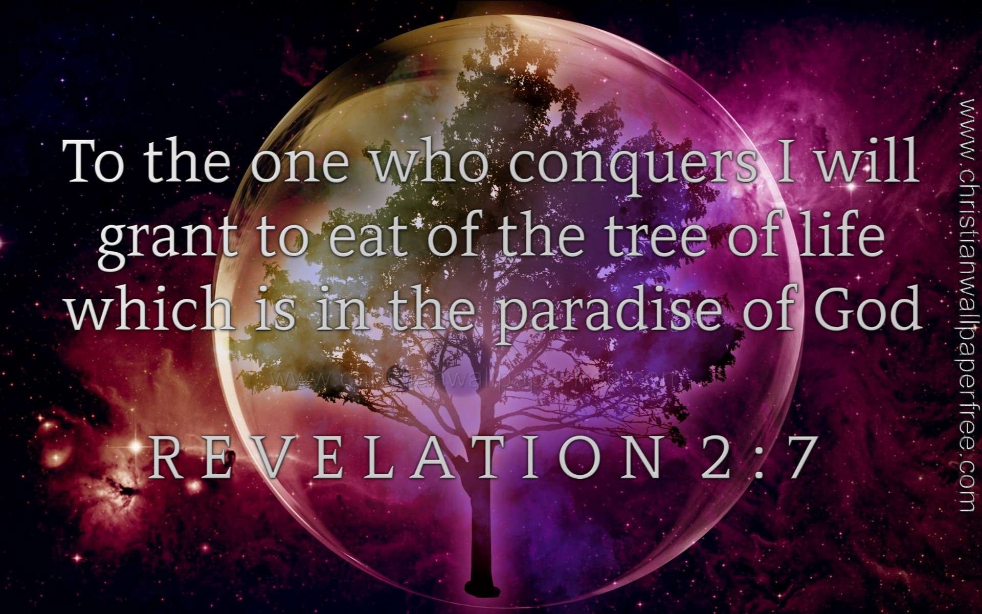 Revelation 2 Verse 7 NAS