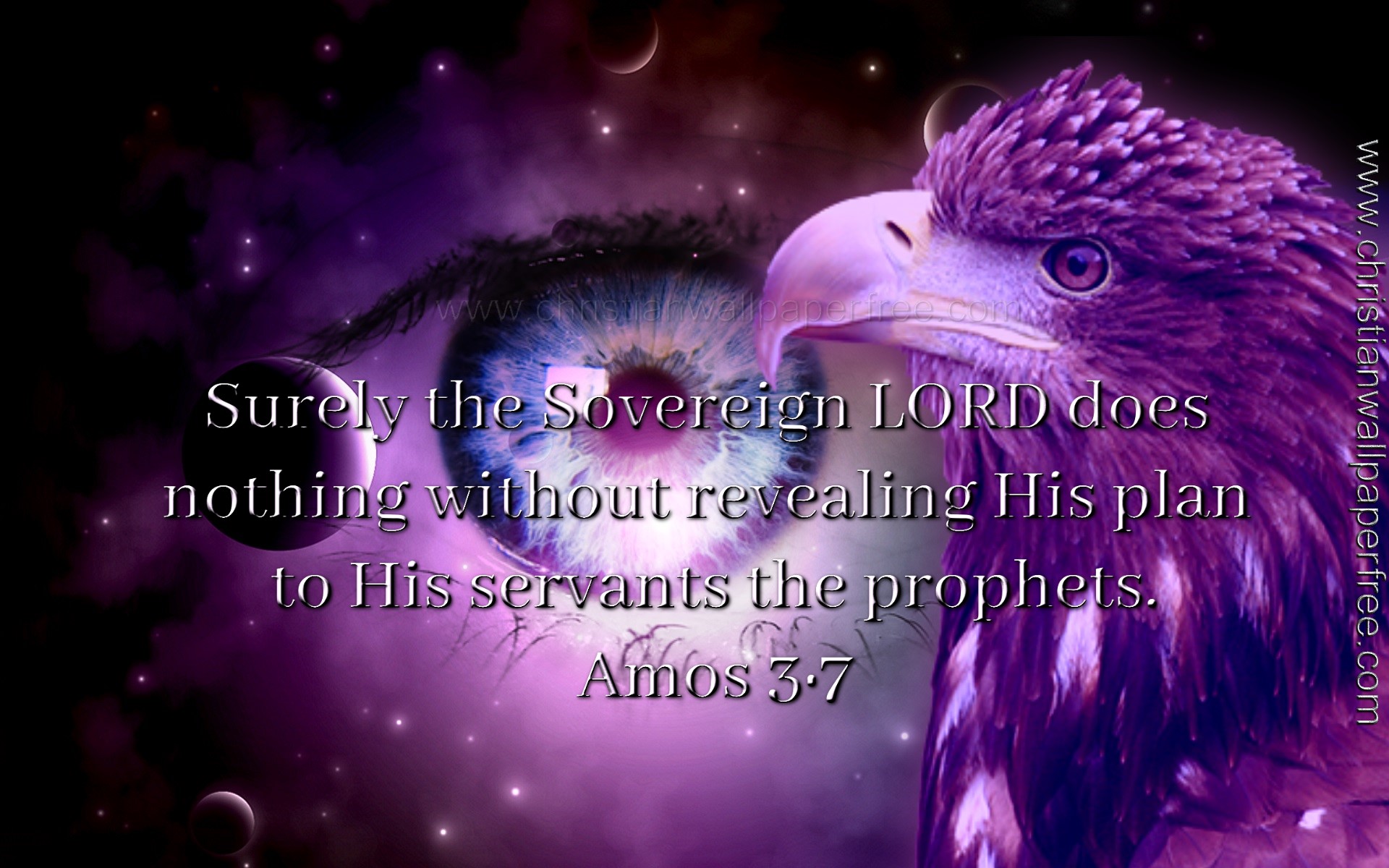 Amos 3 Verse 7