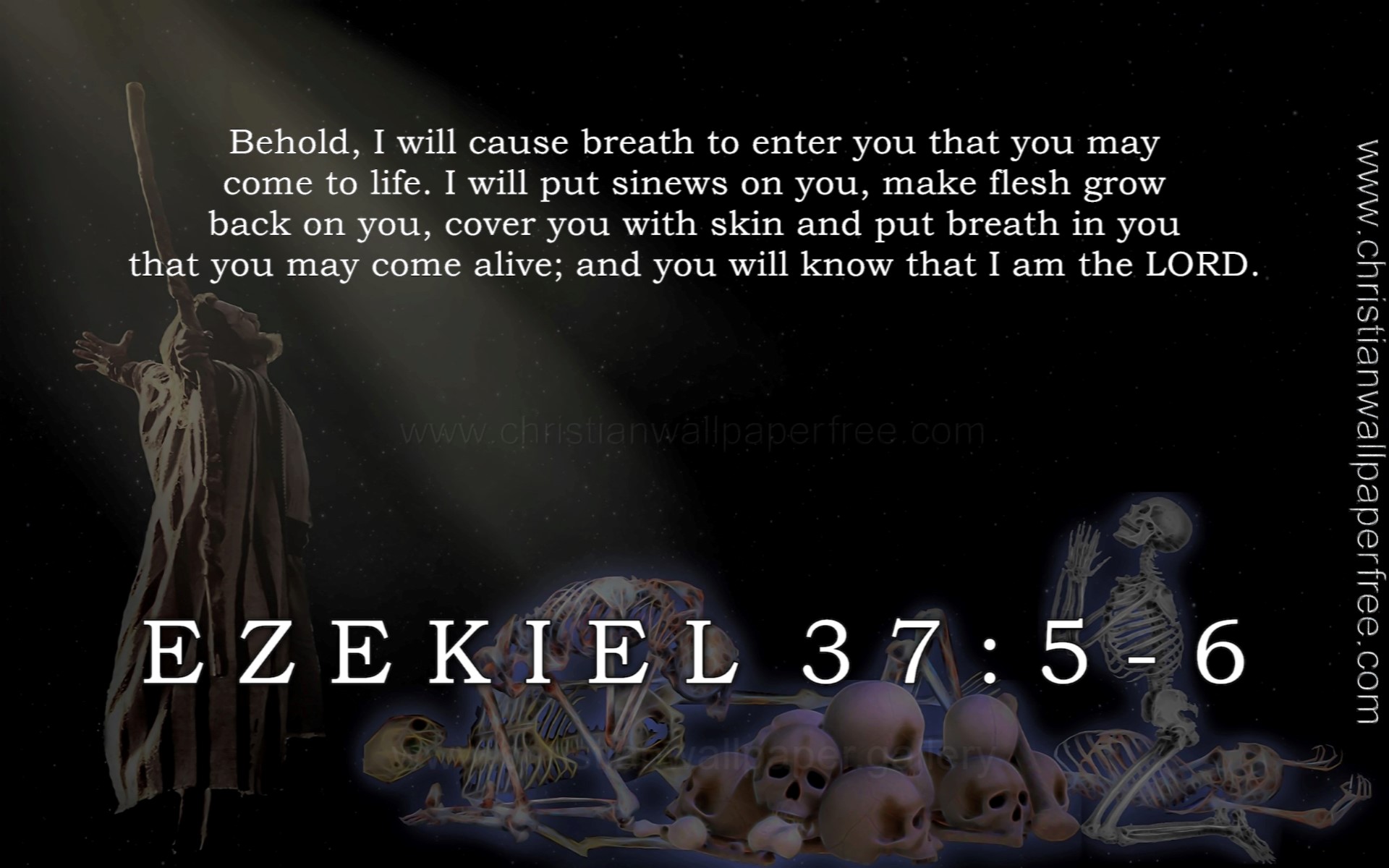 Ezekiel 37 Verses 5-6