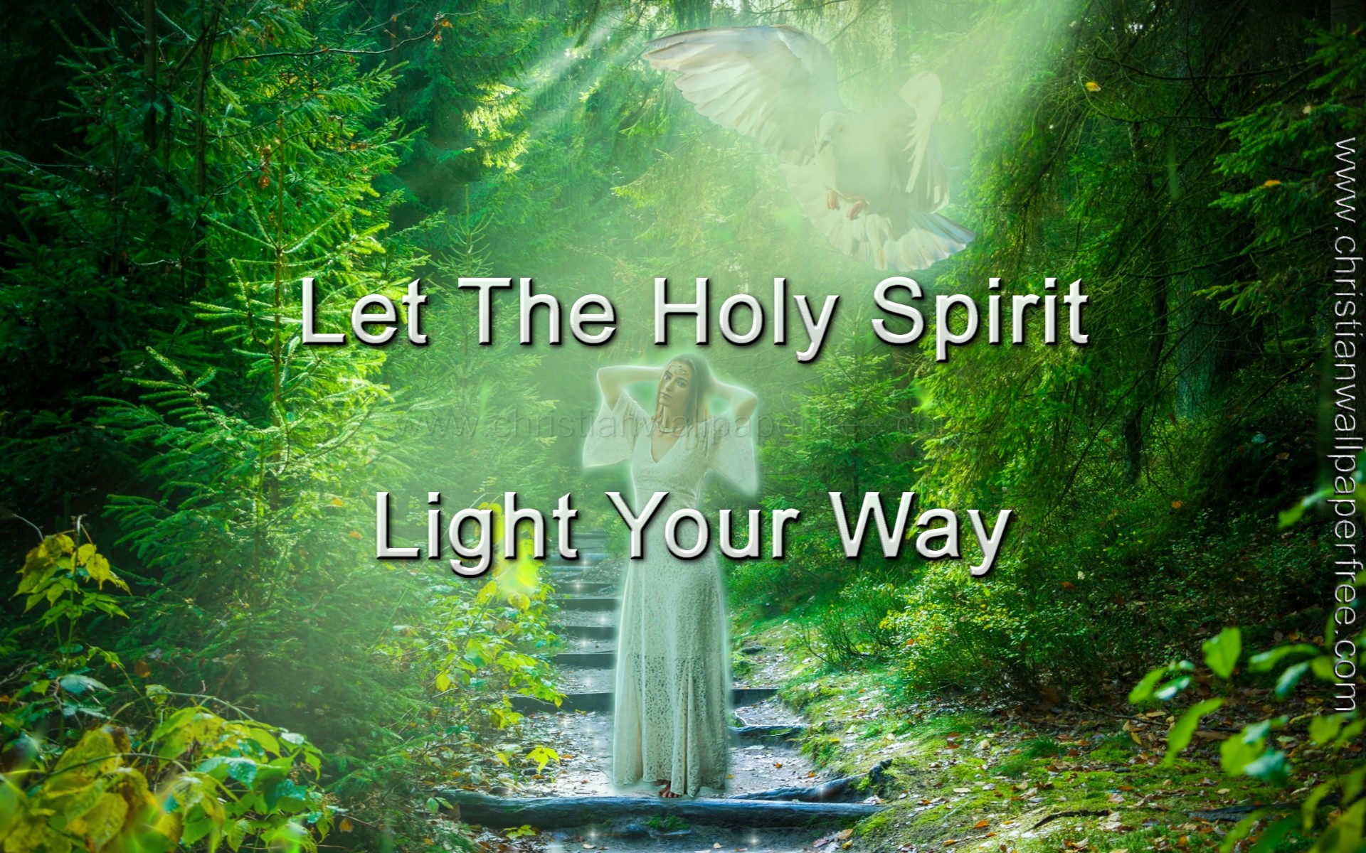 Let the Holy Spirit Light Your Way