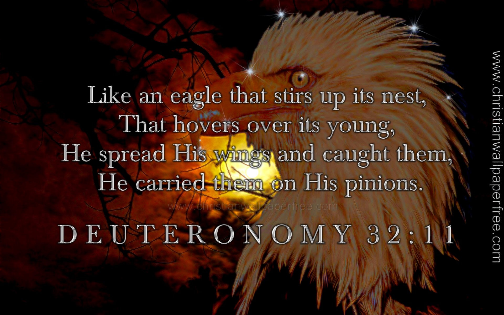 Deuteronomy 32 Verse 11