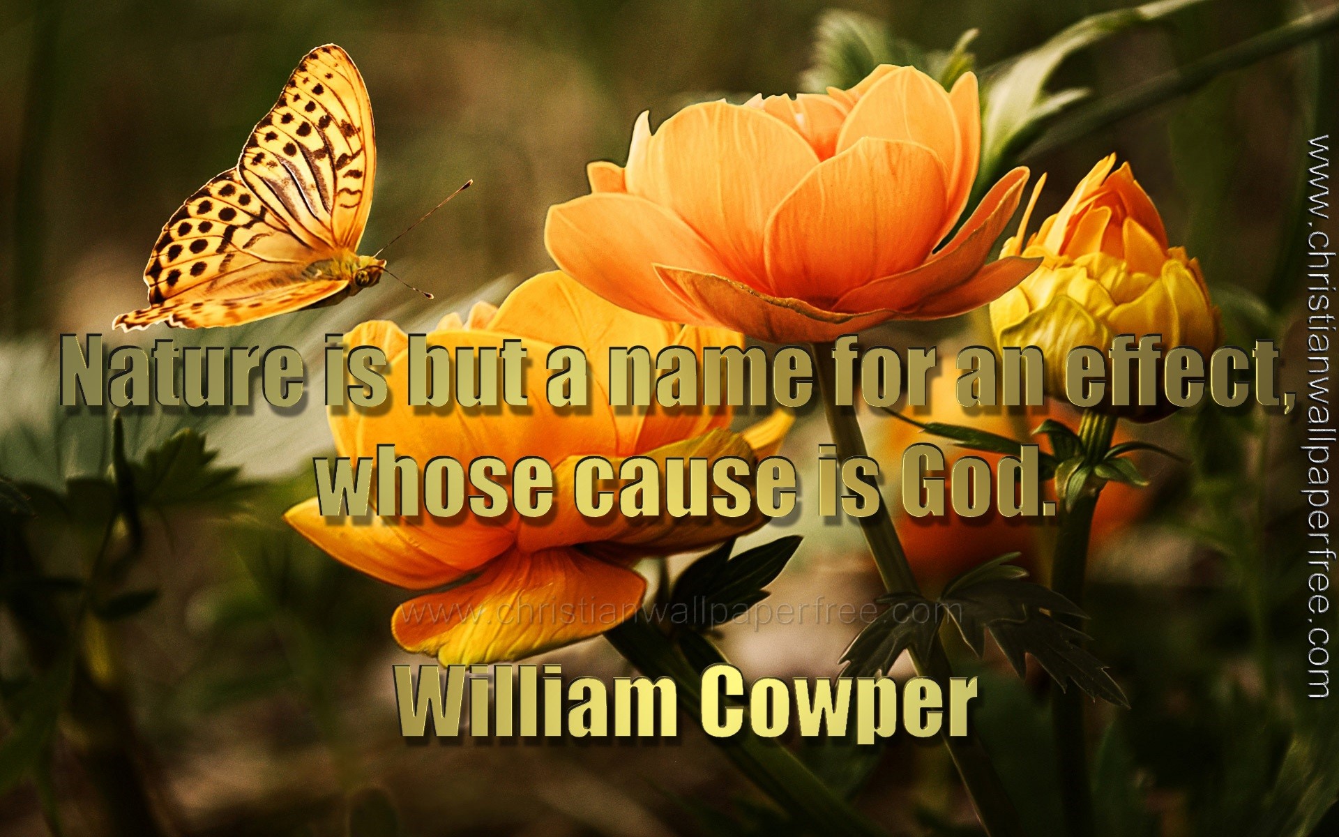 Nature Is Quote by William Cowper