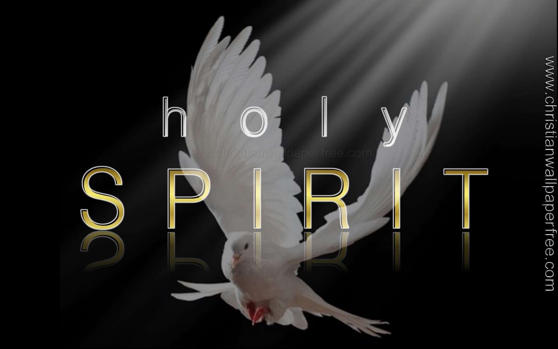 Holy Spirit Reflections