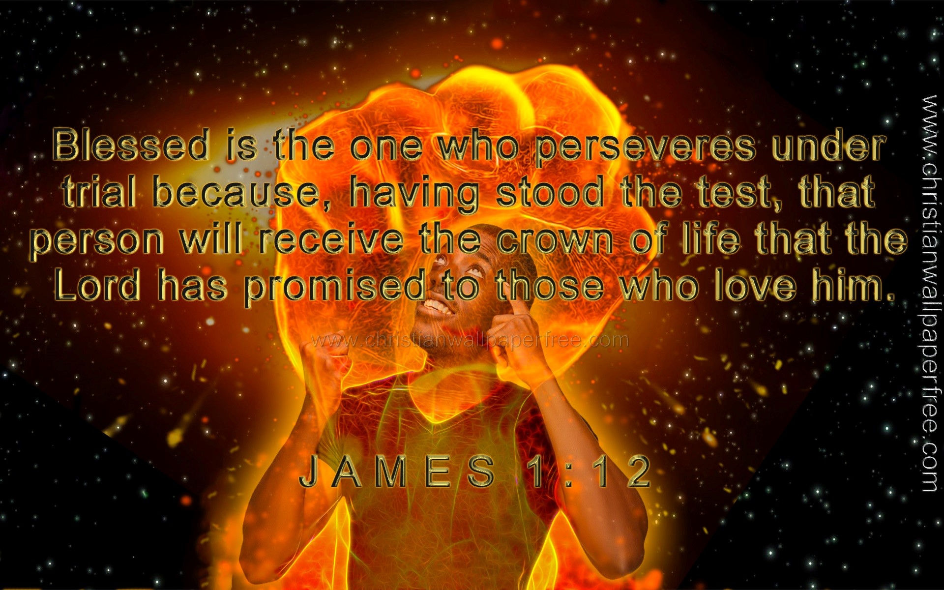 James 1 Verse 12