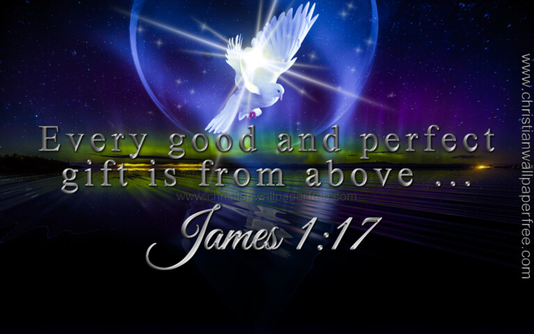 james-1-verse-17