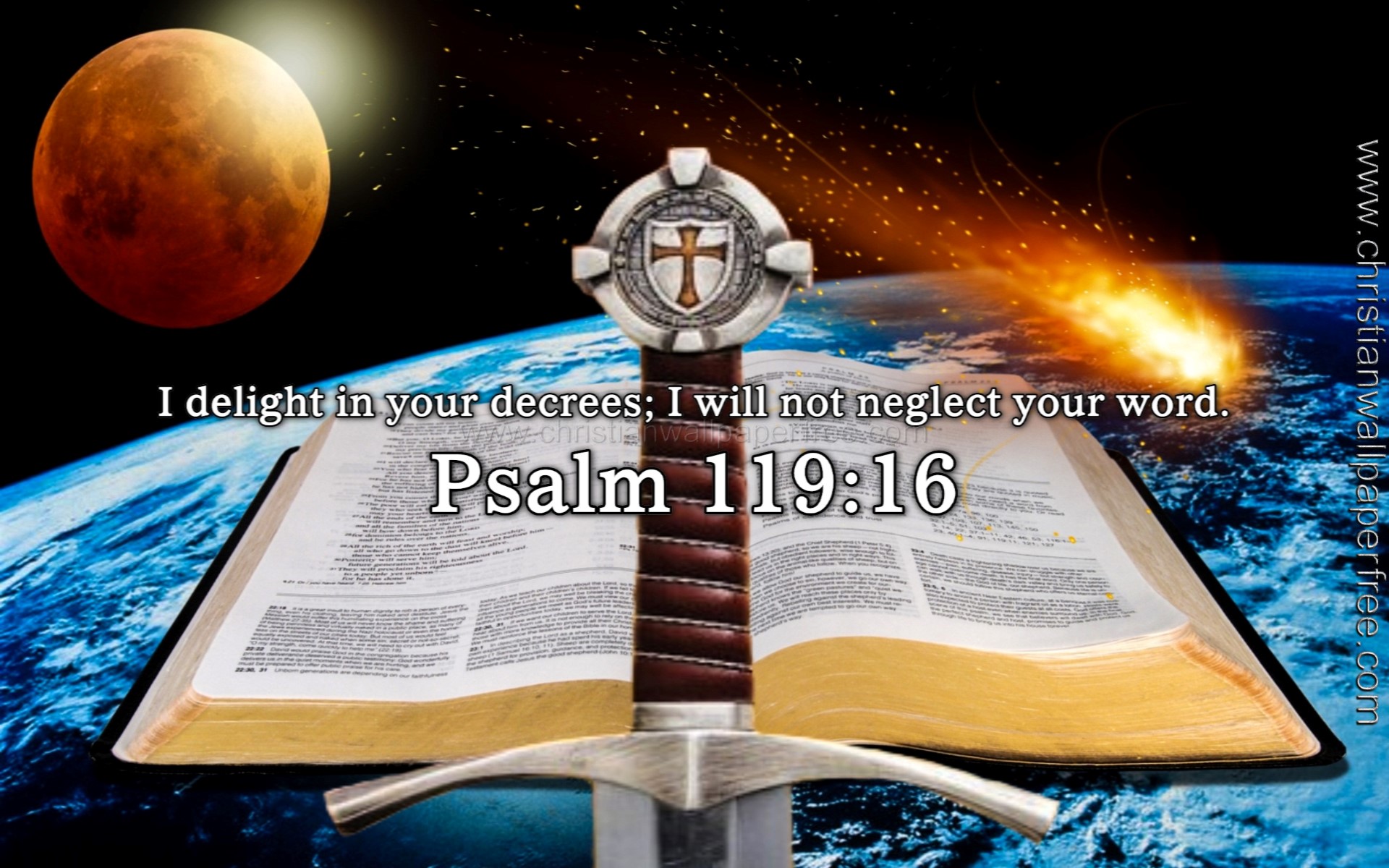 Psalm 119 Verse 16 NIV