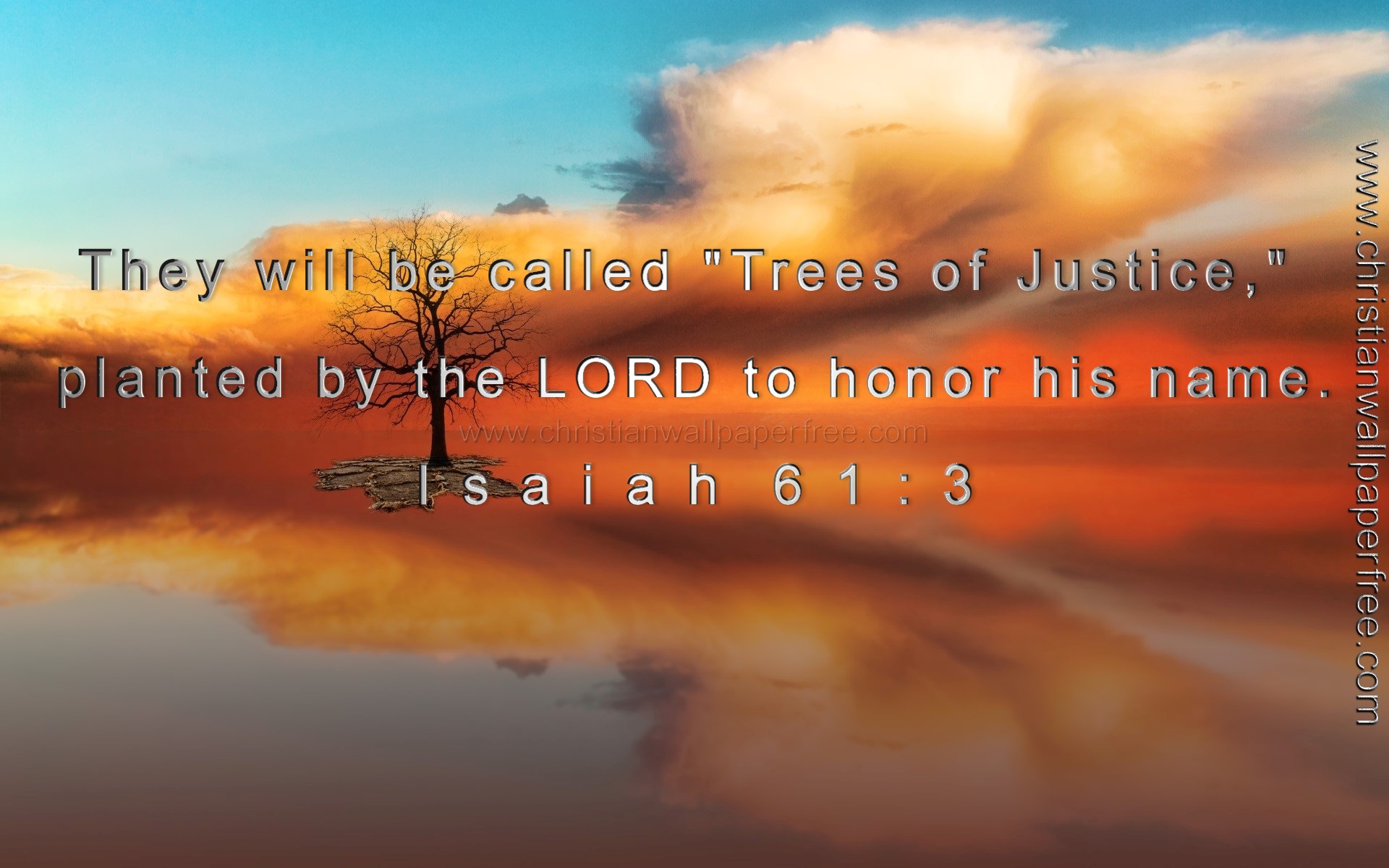 Trees of Justice Isaiah 63 Verse 1