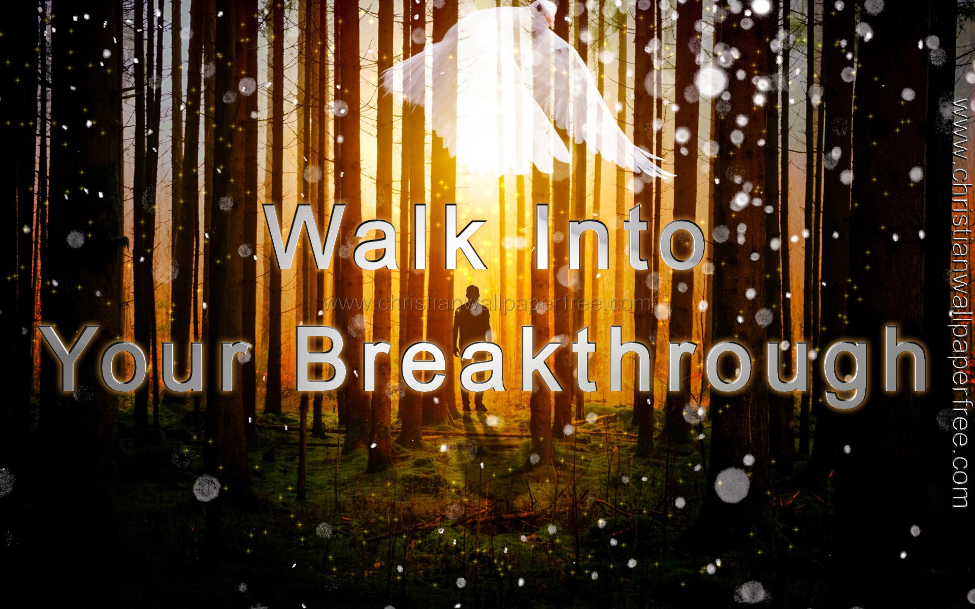 Walk Into Your Breakthrough