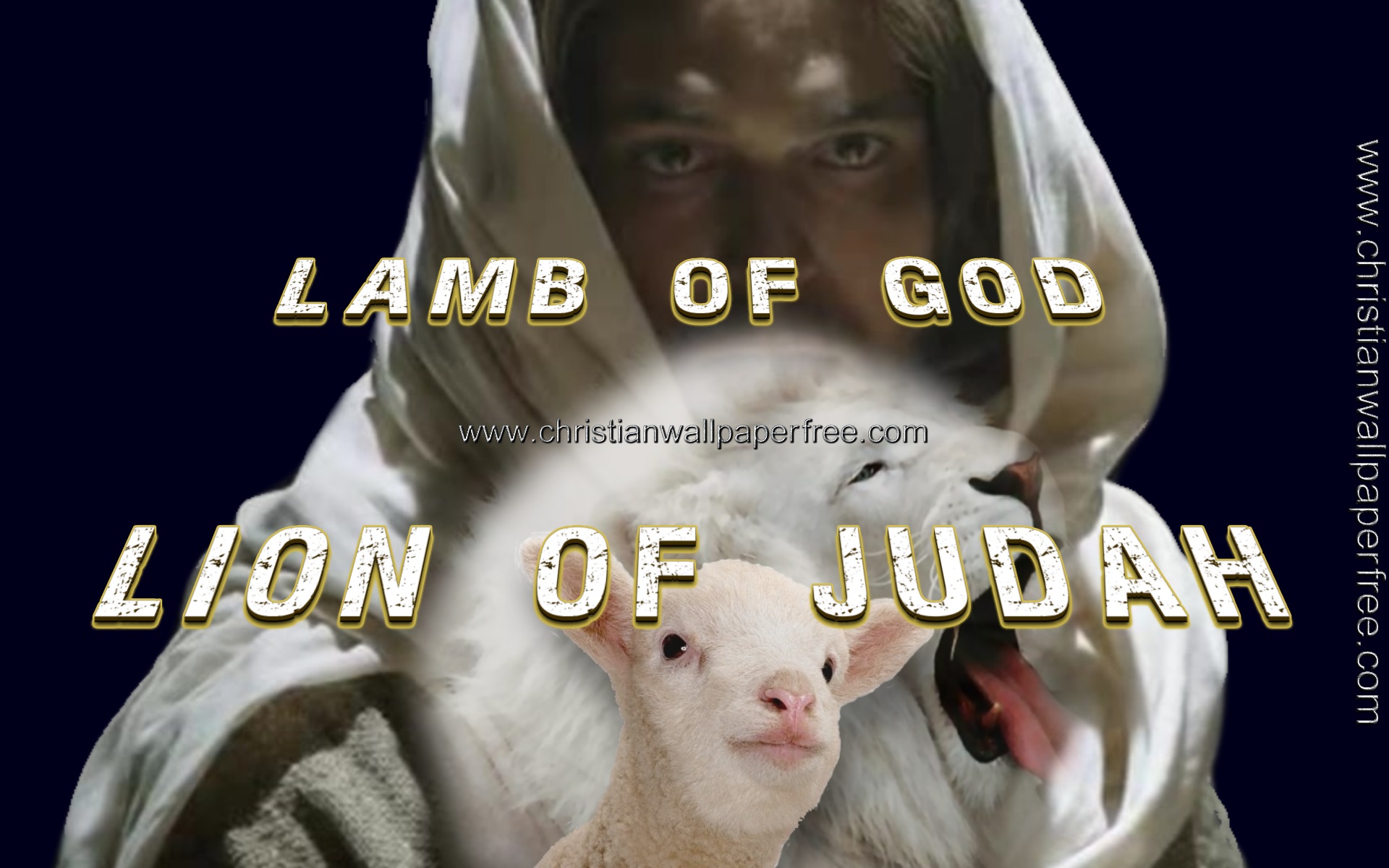 Lamb of God Lion of Judah