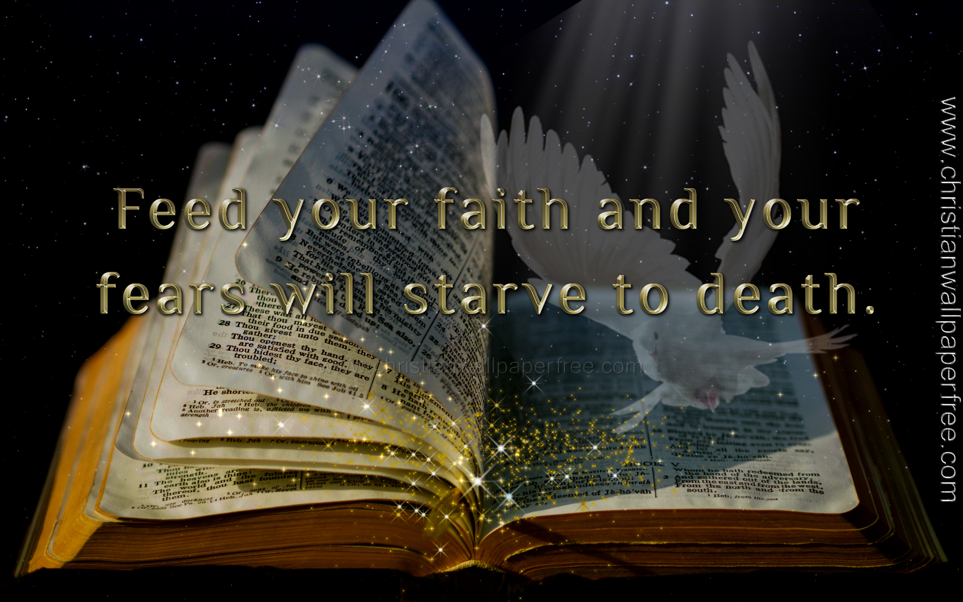 Feed Your Faith