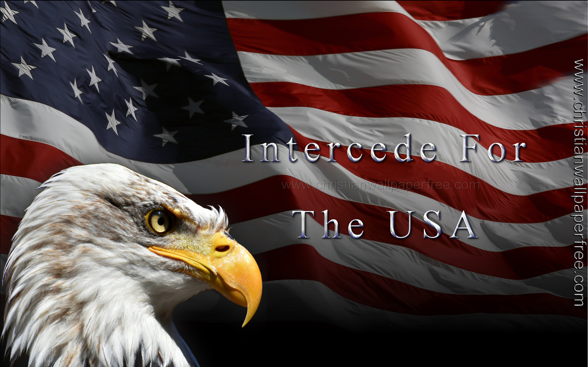 Intercede for the USA