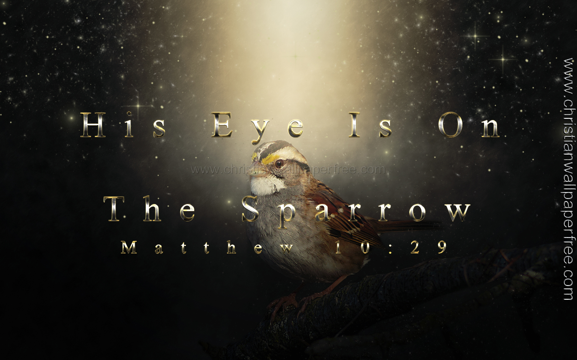 His Eye Is on the Sparrow Matthew 10 Verse 29