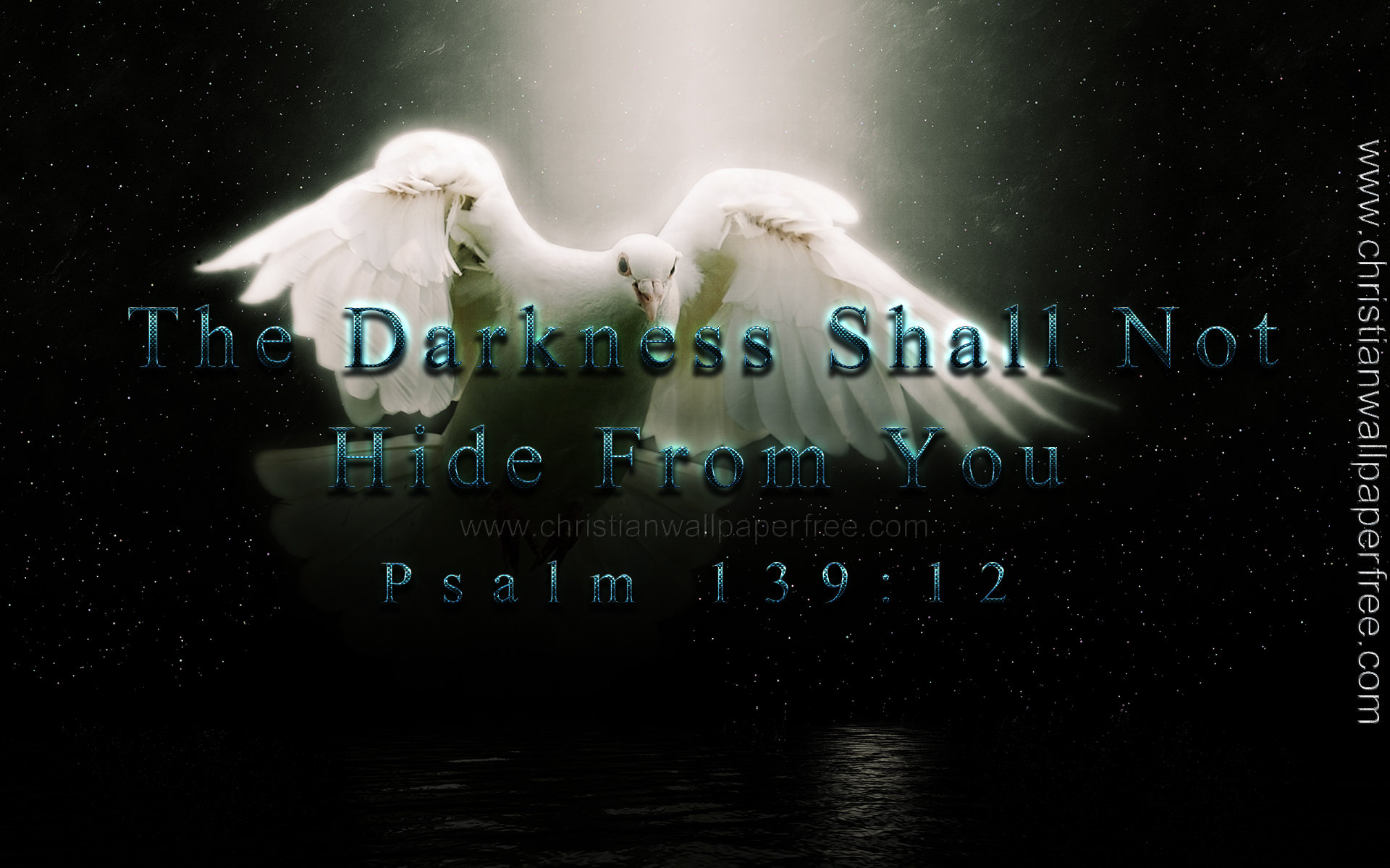 Darkness Shall Not Hide Psalm 139 Verse 12