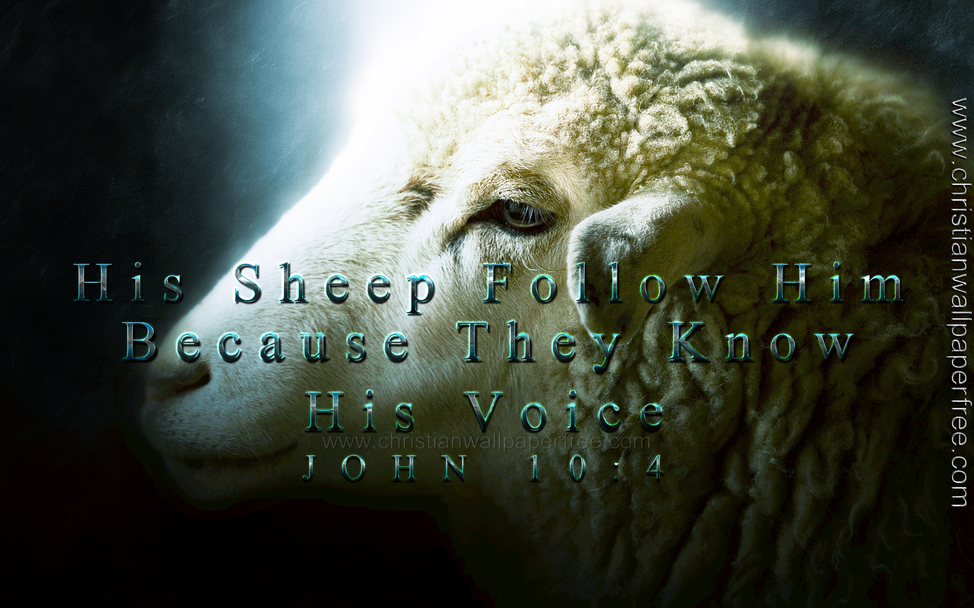 Know His Voice John 10 Verse 4