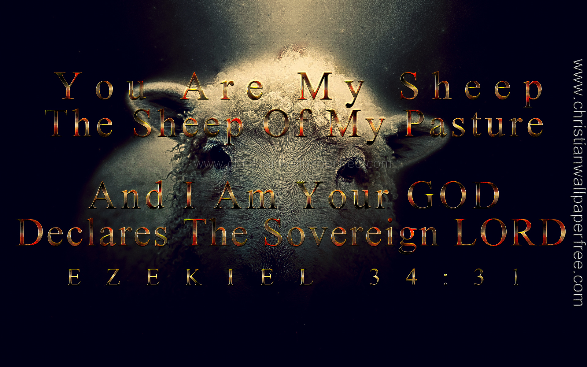 You Are My Sheep Ezekiel 34 Verse 31