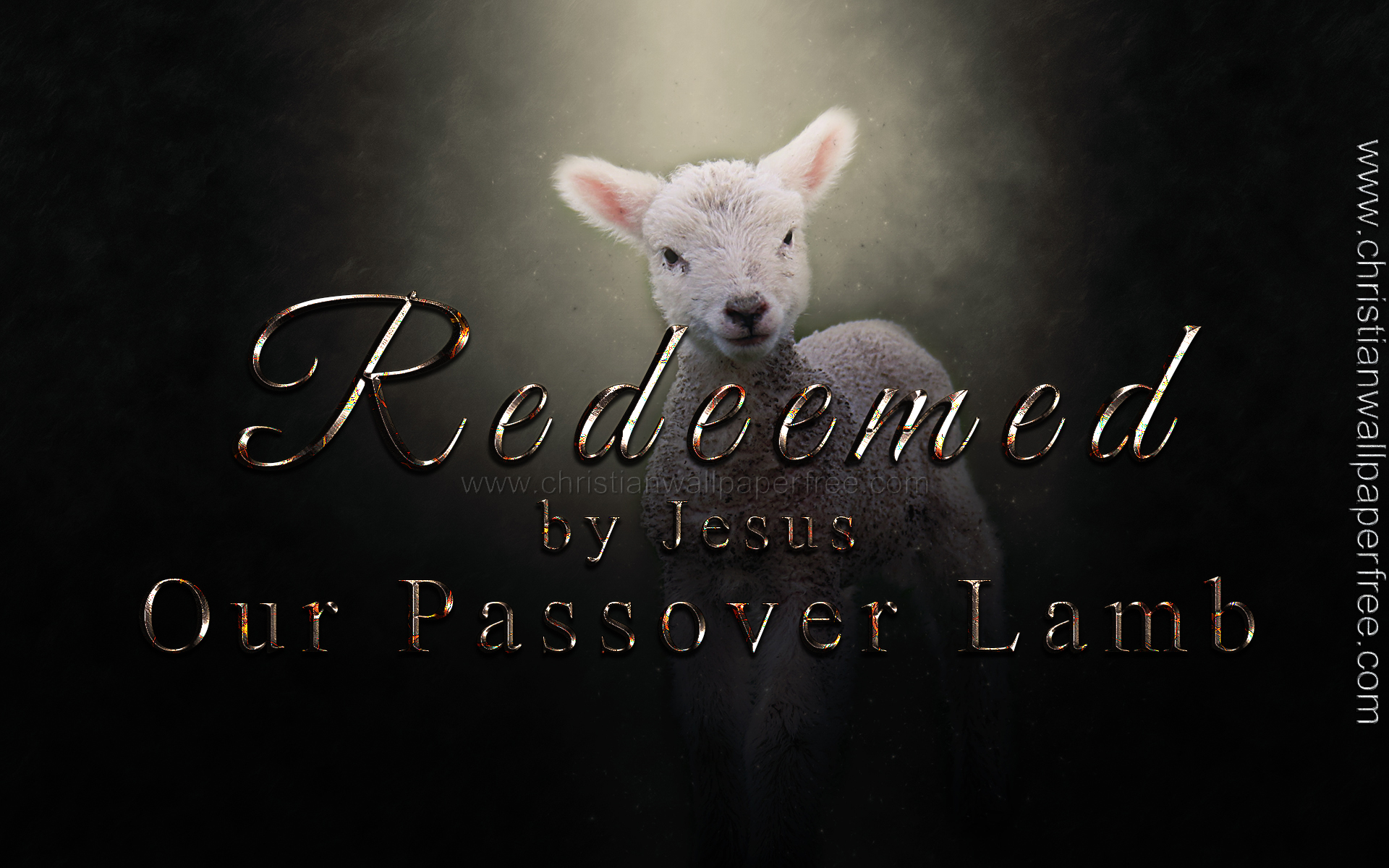 Redeemed by Jesus Our Passover Lamb