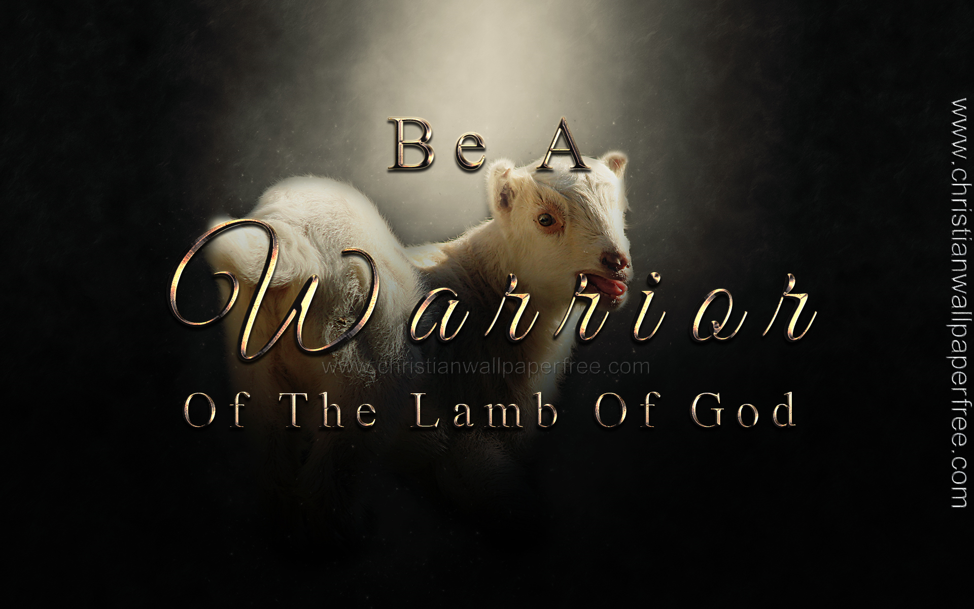 Warrior of the Lamb of God