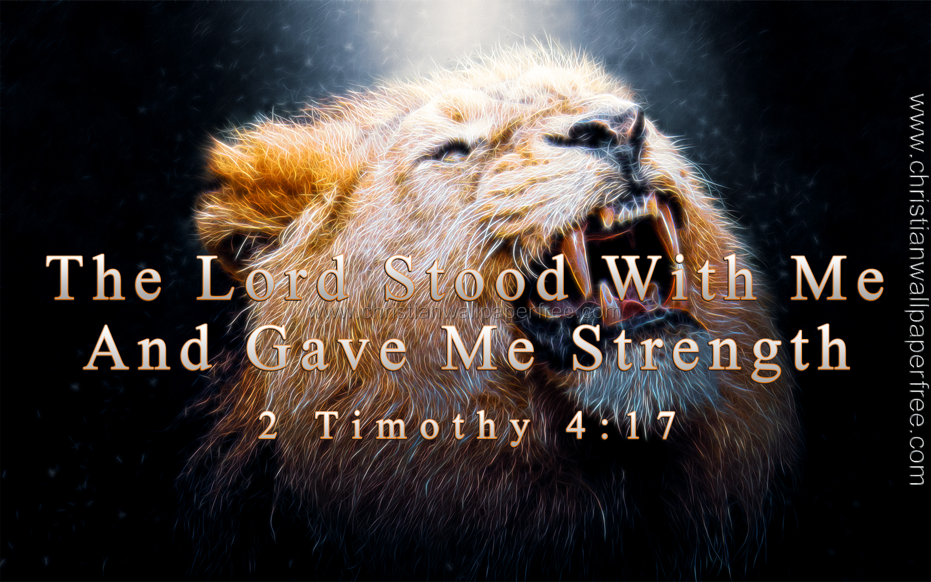 Stood With Me 2 Timothy 4 Verse 17