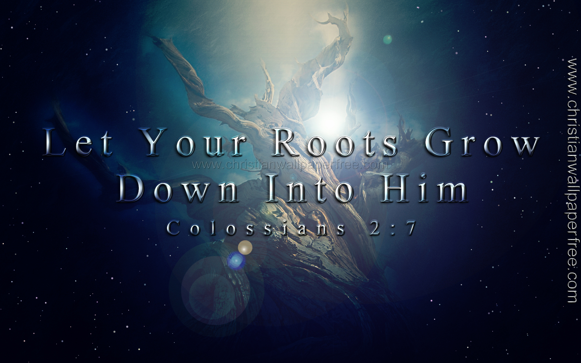 Let Your Roots Grow Colossians 2 Verse 7