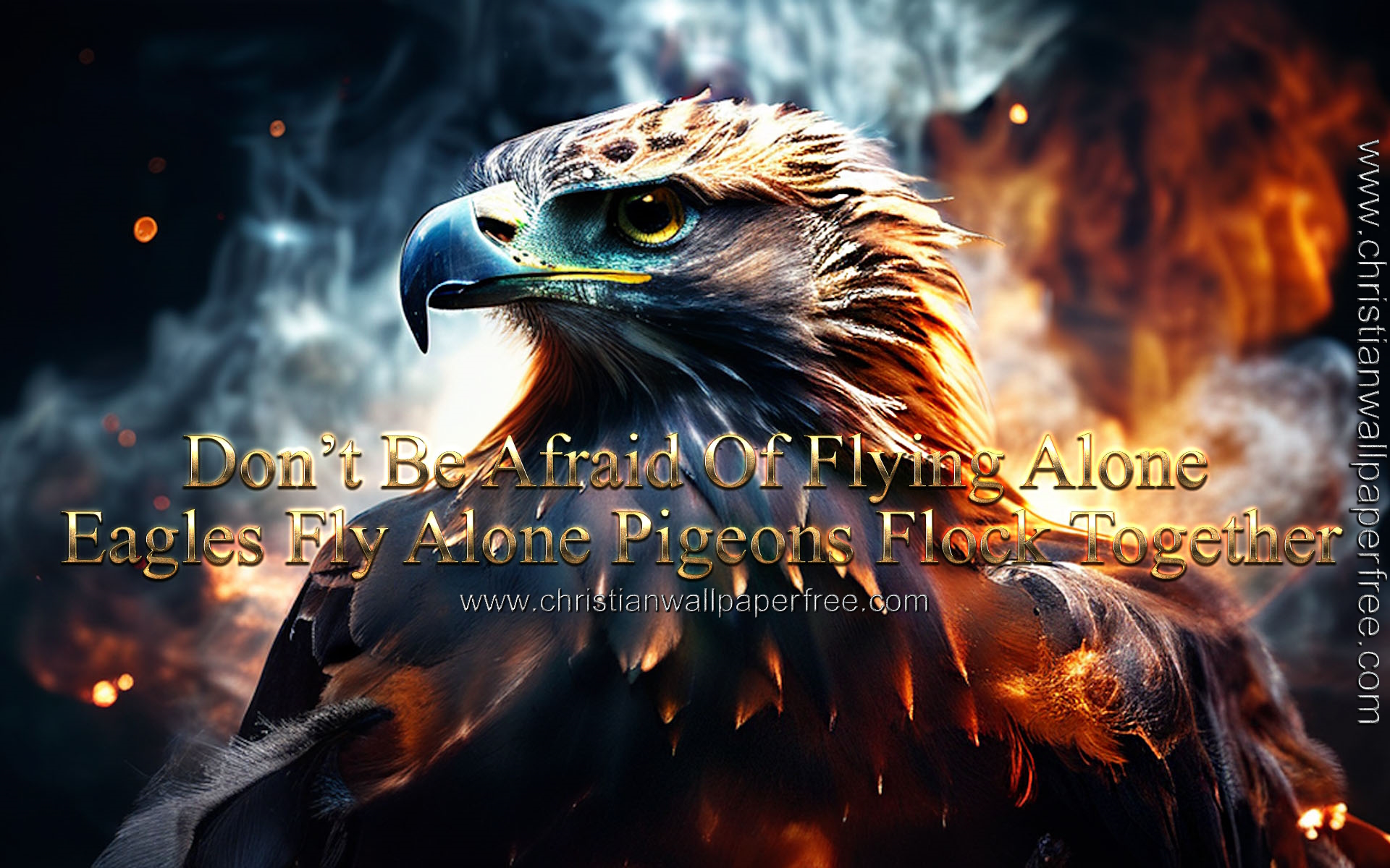 Eagles Fly Alone