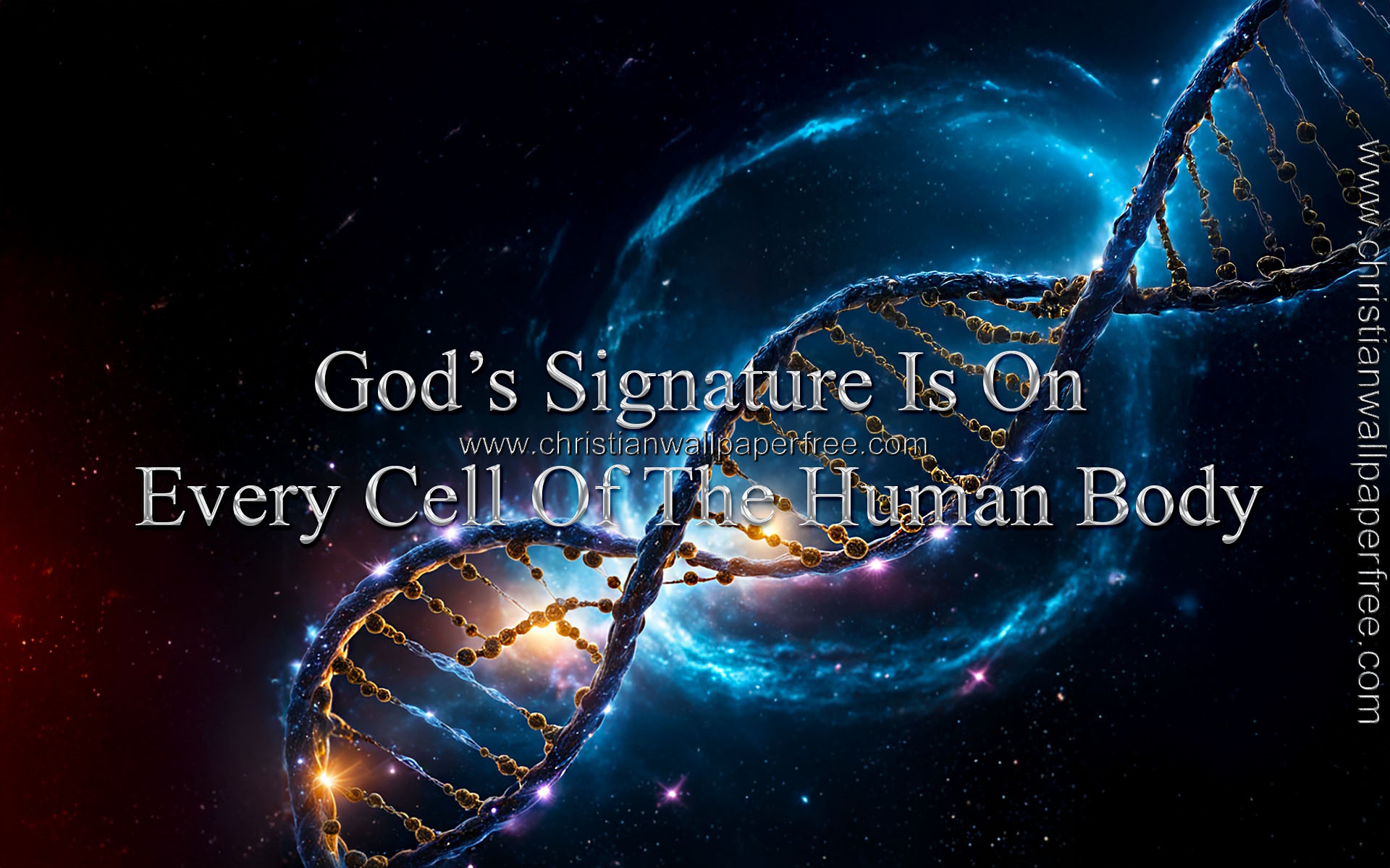 God’s DNA Signature