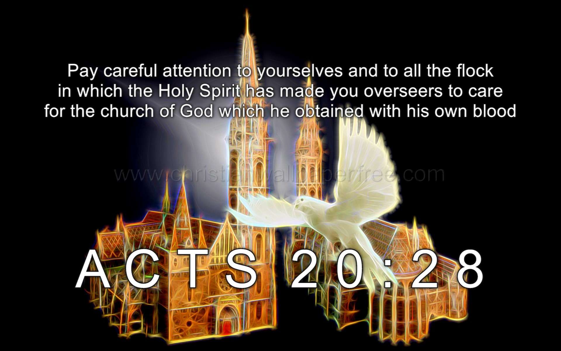 Acts 20 Verse 28